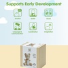 image:imagePlanToys LittleBear Wooden Baby Rattle amp Grasping Toy  Montessori Sensory Development for Coordination Focus amp Auditory Learning  EcoFriendly Infant Educational ToyLittle Bear